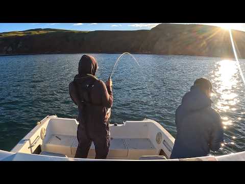 Cod, Ling and pollack | Lure Fishing | Sea Fishing UK