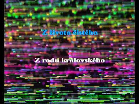Narodil se kristus pán - Vánoční koleda - karaoke