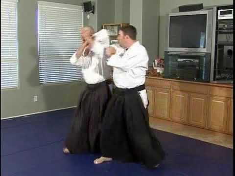 Advanced Aikido Techniques: Kick & Punch Combo Part 3