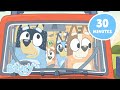 🔴LIVE: A Heeler Day Out 🚗 🏕️ | Travel Fun with Bluey and Bingo | Bluey DEFAULT Thumbnail