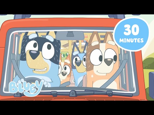 🔴LIVE: A Heeler Day Out 🚗 🏕️ | Travel Fun with Bluey and Bingo | Bluey SDDEFAULT Thumbnail