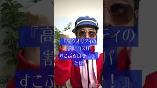 クラウドソーシングで案件取るのお勧めしない理由