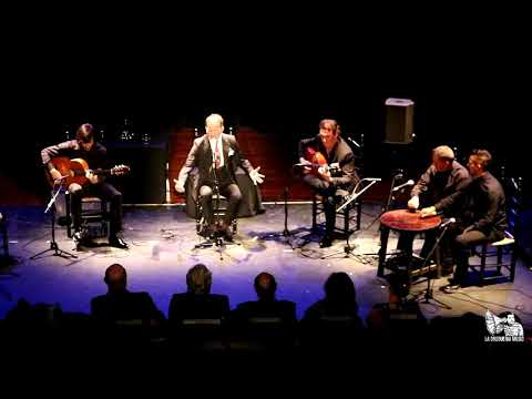 David Pino por Soleá Apolá, con las guitarras Gabriel Expósito y José Tomás