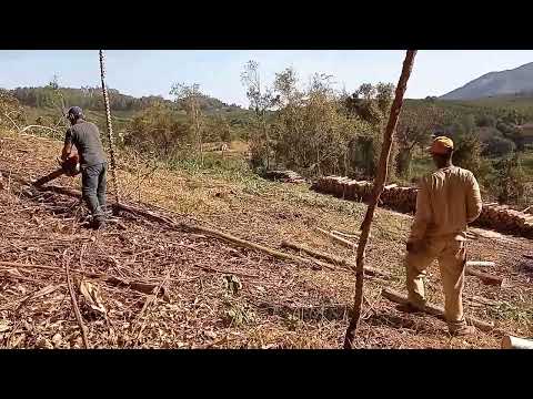 APRESENTO A VOCÊS O FAMOSO RICARDINHO PARCERÃO.💪💪🙏🙏👏