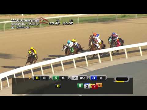 Woodbine, Tbred, Sept. 16, 2016 Race 9
