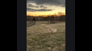 Mary Chapin Carpenter - Songs From Home Episode 53: Farther Along And Further In