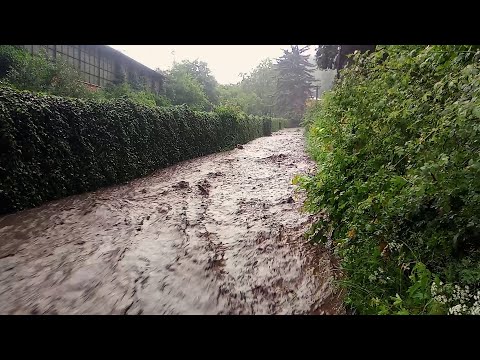 Zásahy JSDH Adamov 06/2020