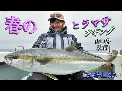 【MALINAが挑む！】春のヒラマサジギングin山口県萩沖