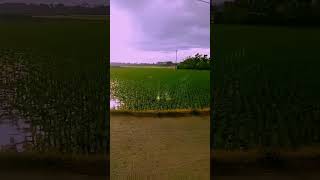 Download lagu Berserah diri kepada Allah yang maha pengasih #jalanyangjauhjanganlupapulang#renungan#short mp3 Download lagu Berserah diri kepada Allah yang maha pengasih #jalanyangjauhjanganlupapulang#renungan#short mp3