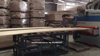 MAY CHA NHAM THUNG Shengshing tai nang SD-1300