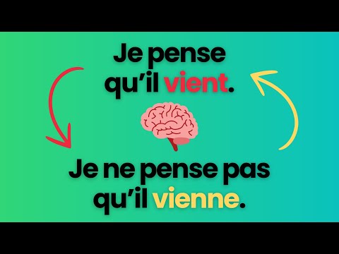 SUBJONCTIF to Express Your Opinion Full Guide Extract