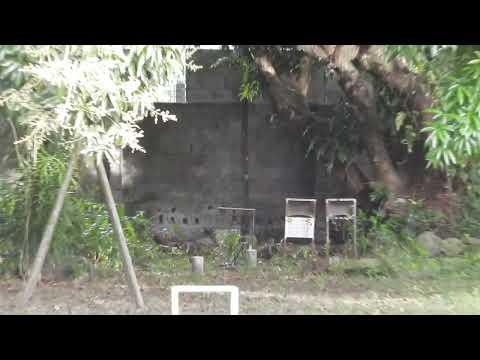 FX Panthera .22 700mm Superior Heavy Liner JSB 18.13gr (rejects) 5 shot group @60 yards