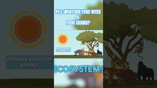 Part 1:🔥 Food Webs & Food Chains Explained! 🌿🐾