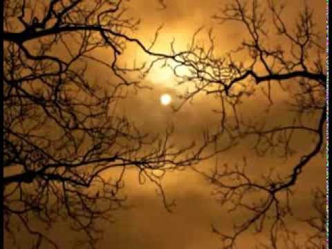 Jan A.P. Kaczmarek ♫ Evening