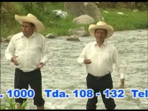 los chiguipanos - gatito de hambre