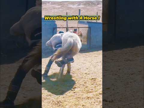 😱Mongolian Boy Wrestles with Horses: Wrestling techniques are important skills for nomadic life