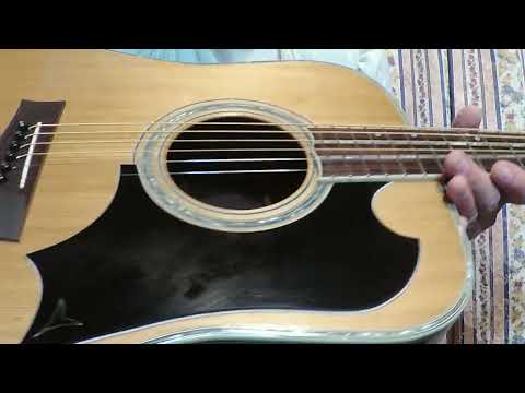 1977 Yairi YW600G Grammer Guitar Style New Jacaranda - Natural+Hard Case image 25