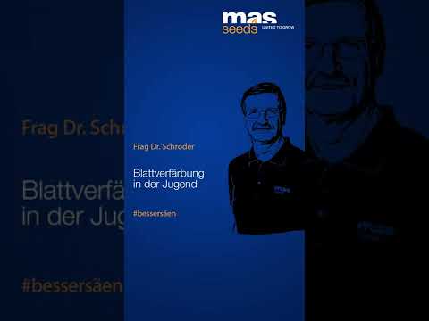 Frag Dr. Schröder - Blattverfärbung