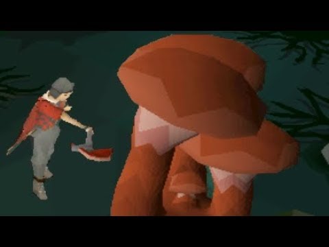 download lagu mp3 mp4 Mushroom Pie Osrs, download lagu Mushroom Pie Osrs gratis, unduh video klip Mushroom Pie Osrs