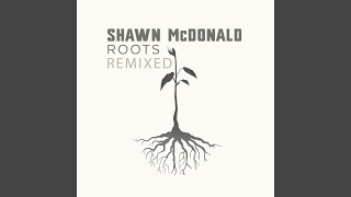 Shadowlands (Remix)