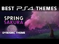 Awakening of the Spring Sakura Hanami Best PS4 Themes