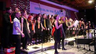 Die Erben - Pirate (Kasalla) - 07.02.2014