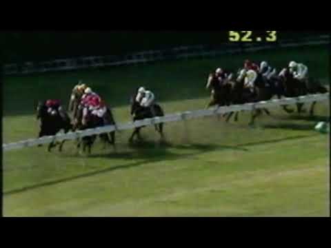 1991 Manikato Stakes