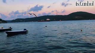 İstanbul | Sarıyer #boğaz #reels #ship #boat #instagram #life #holiday #sea #deniz #sahil #turkey