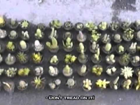 Eleven - Aryan Shahabian (2002)