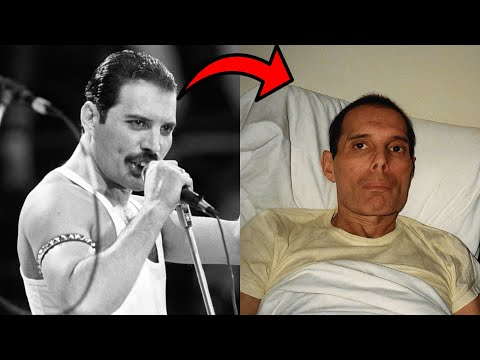 Freddie Mercury’s FINAL WEEK — The November 22 Decision That Changed Everything