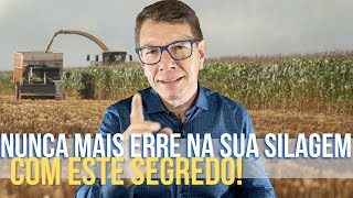 Aprenda a ensilar qualquer material