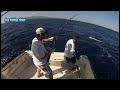 Фото Amazing Fastest Giant Bluefin Tuna Fishing Skill - Most Satisfying Sea Fishing Video