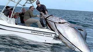 Download lagu Amazing Fastest Giant Bluefin Tuna Fishing Skill M... mp3