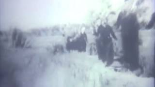 Deerhunter - Cicadas (Fan music video)