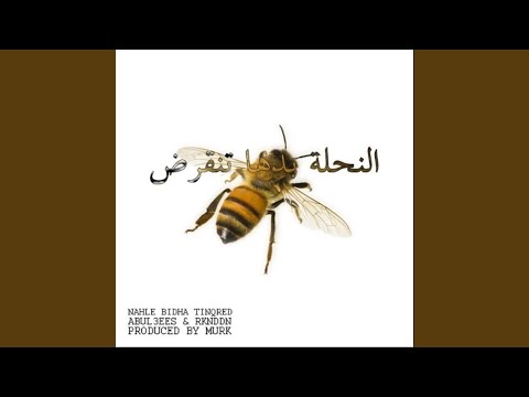 Na7leh (feat. Abul3ees & Rknddn)