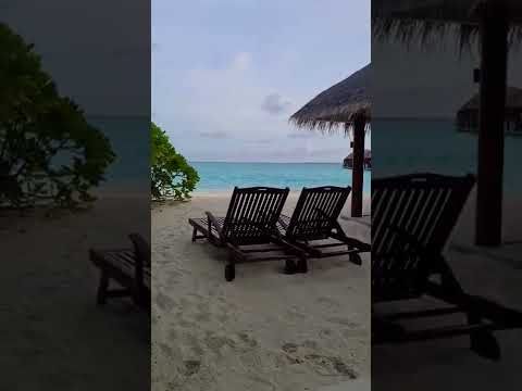 Archive July 2021 - Nothin' feels better than this!