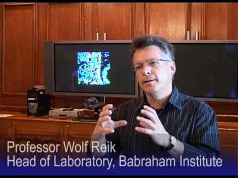 現代生物醫學。巴卜拉漢姆研究所 (Modern biomedicine: The Babraham Institute)