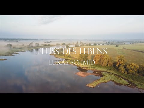 Fluss des Lebens - Karpfenangeln an der Elbe