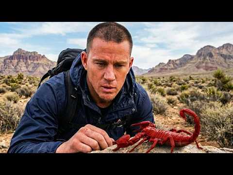 Channing Tatum vs DEADLY Scorpion | Bear Grylls' Running Wild
