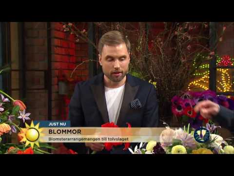 Så kan du återanvända julens blommor till nyår - Nyhetsmorgon (TV4)