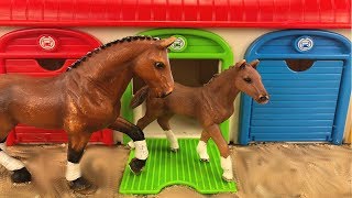 Critter clinic Take it OUT gameplay video by msteinfort, 9:20 duration