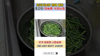 유튜브 썸네일
