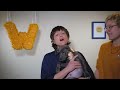 Well Wisher - Miserable [Official Music Video]