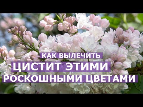 Как лечить боли в спине отдающие в ноги Боль в пояснице неудачно повернулся