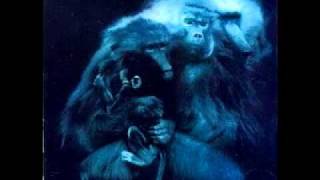 Margot Smith - An Arrangement (Steve Kilbey Cover)