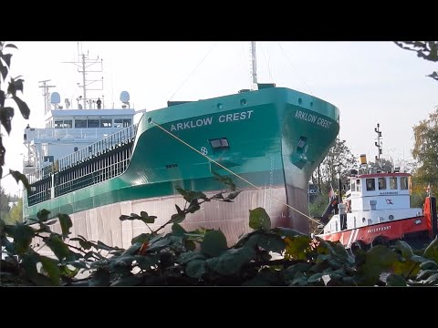 👉THE NEW OWNER WILL PROBABLY BE VERY HAPPY WITH THIS BRAND NEW 'ARKLOW CREST"! - #2341NL