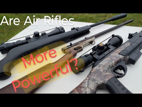 .177 VS .22 Air Rifle Penetration Test