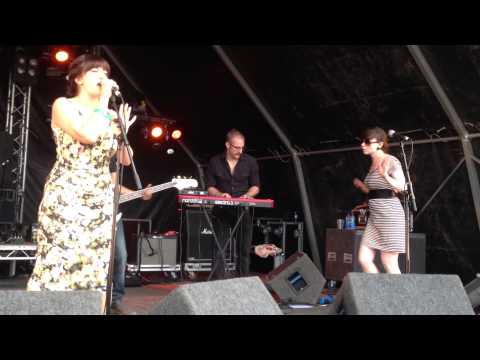 The Secret History - "Johnny Anorak" live at Indietracks 2013