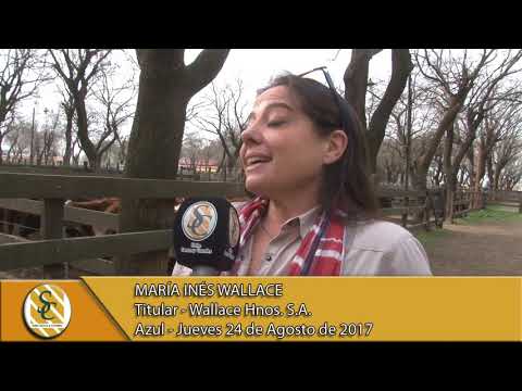 24-08-17 Nota María Inés Wallace - Wallace Hnos. S.A. - Azul