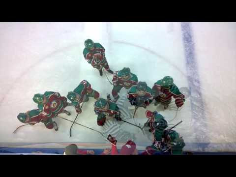 15.05.2016 Karhu-Kissat Cats - Young Roosters Iserlohn